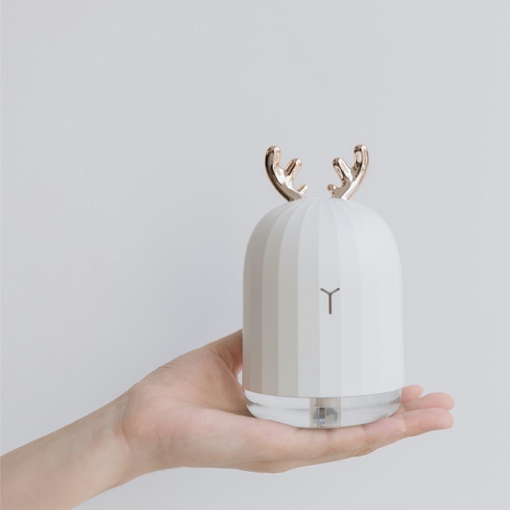 Ultrasonic Air Humidifier & Oil Diffuser